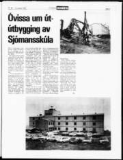 Síða 3