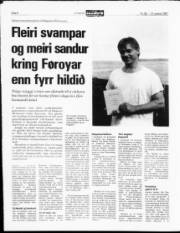 Síða 8