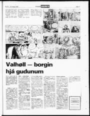 Síða 17