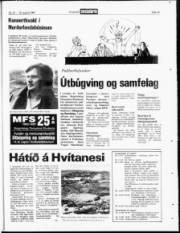 Síða 19