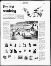 Síða 5