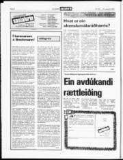 Síða 6