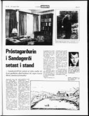 Síða 15