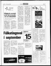 Síða 19