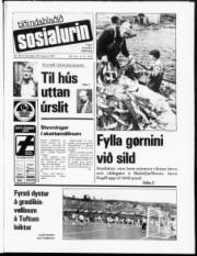 Síða 1