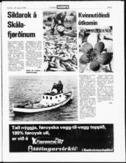 Síða 3