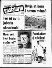 Síða 1