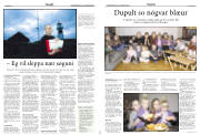 Síða 15