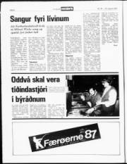 Síða 8