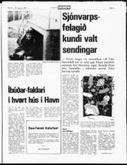Síða 5