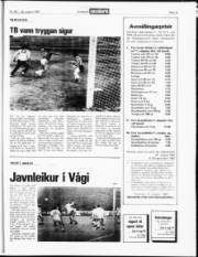 Síða 15