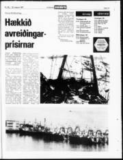 Síða 19