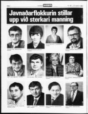 Síða 2