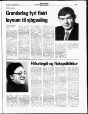 Síða 7