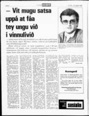 Síða 8