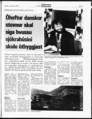 Síða 15
