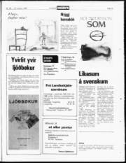 Síða 19