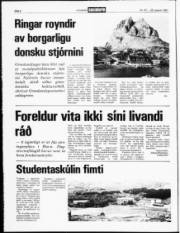Síða 2