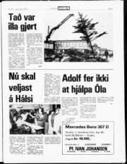 Síða 3
