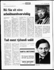 Síða 8