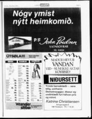 Síða 15