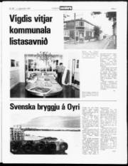 Síða 3