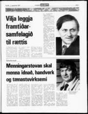 Síða 7