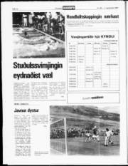 Síða 12