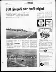 Síða 14