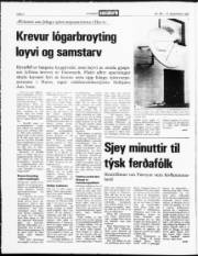 Síða 2