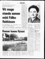 Síða 3