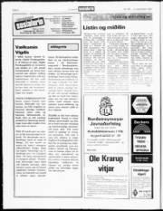 Síða 6