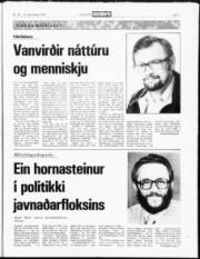 Síða 7