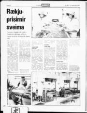 Síða 13