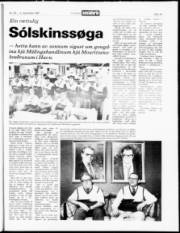 Síða 18