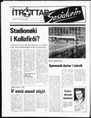 Síða 19