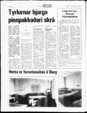 Síða 21