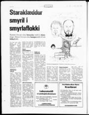 Síða 19