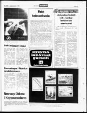 Síða 24