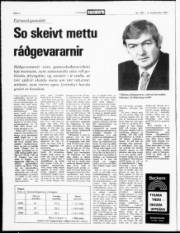 Síða 26