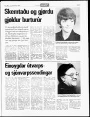 Síða 29