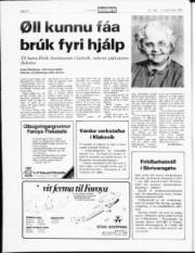 Síða 33