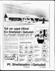 Síða 11