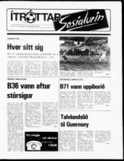Síða 13