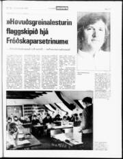 Síða 17