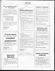Síða 19