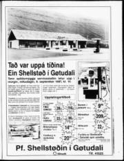 Síða 17