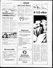 Síða 19