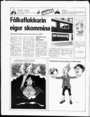 Síða 20