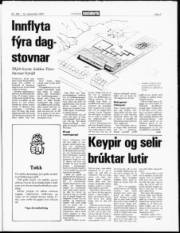Síða 3